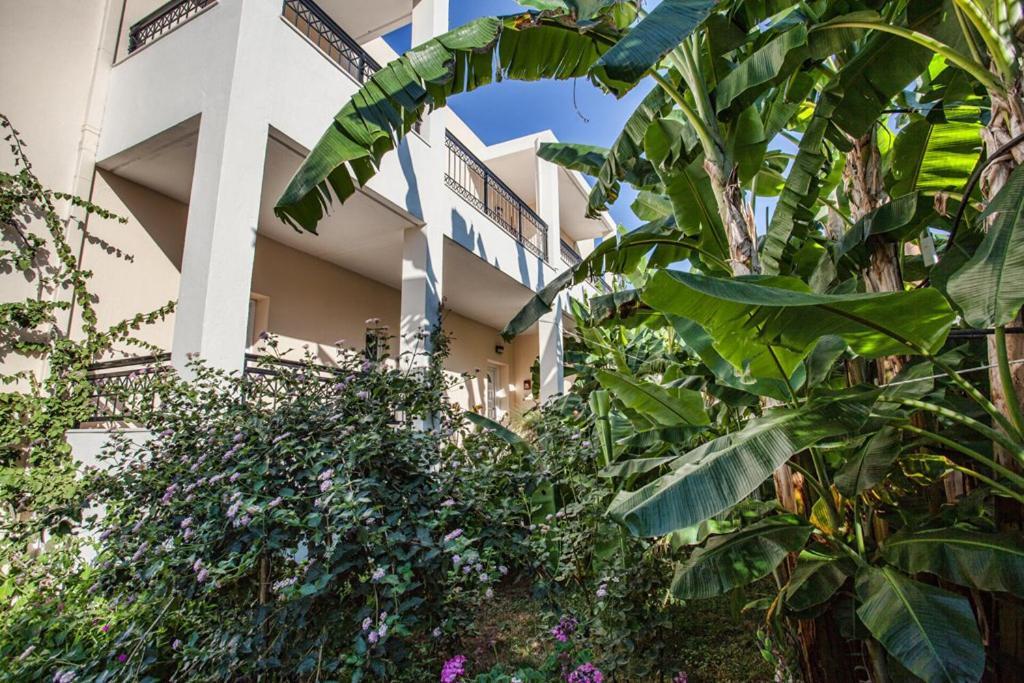 Bali Dorian Apartments Luaran gambar